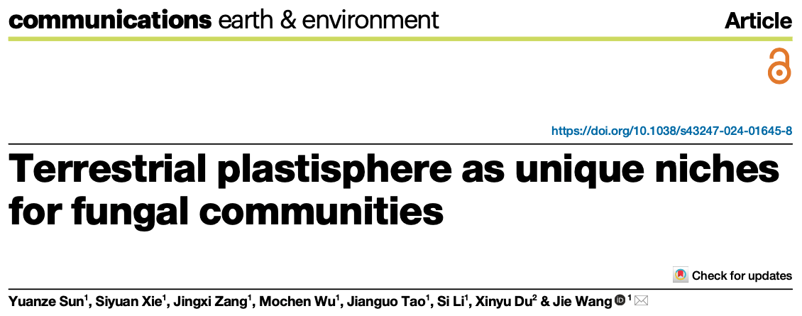 1725872011317096285.png 11.png